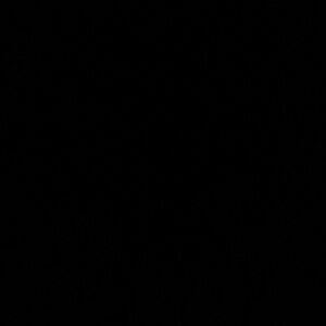 Meet your Posher, Jen